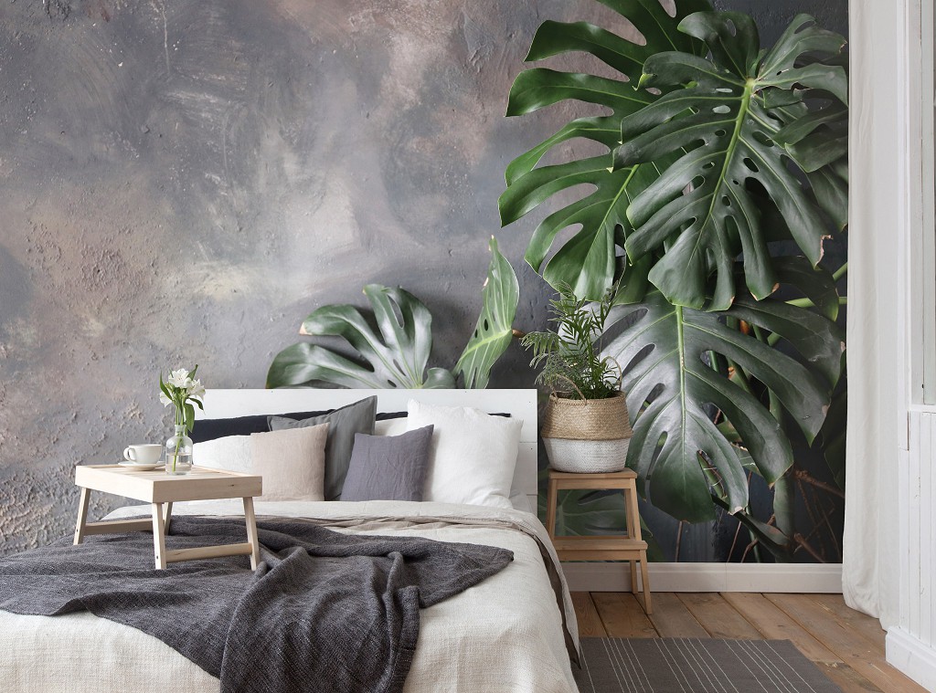 Флизелиновые фотообои зелень 312x219 см 3D Большие листья монстеры на фоне бетонной стены (14551VEXXL)+клей