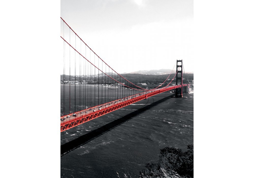 Флизелиновые фотообои города 206x275 см Архитектура Мост Золотые Ворота США (154VEA)+клей