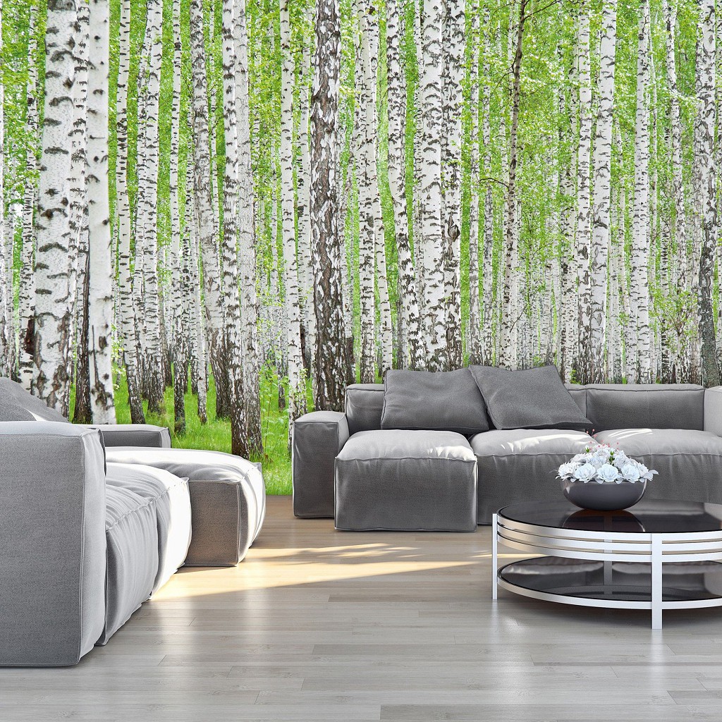 Флізелінові фотошпалери спальня 368x254 см Дерева Природа Березовий ліс (157V8)+клей
