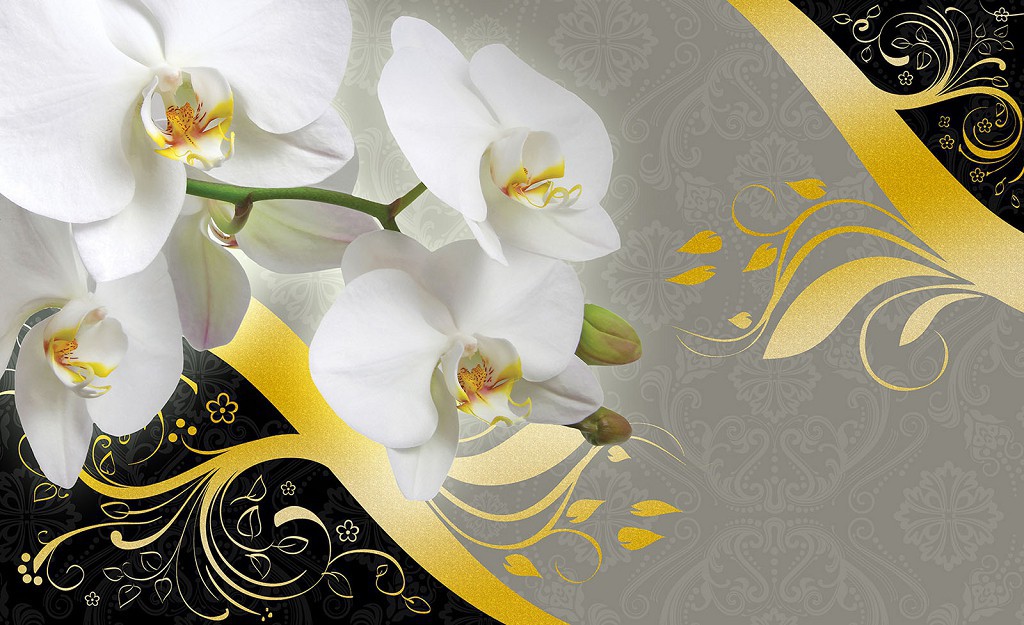 Флізелінові 3Д фотошпалери на всю стіну 312x219 см Білі орхідеї та сірий фон (1825VEXXL)+клей