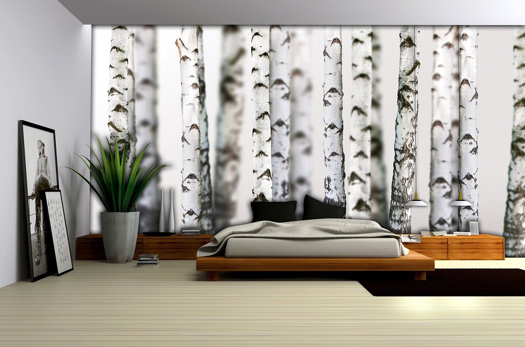 Флизелиновые фотообои природа лес 368x254 см Деревья Березы (1970V8)+клей