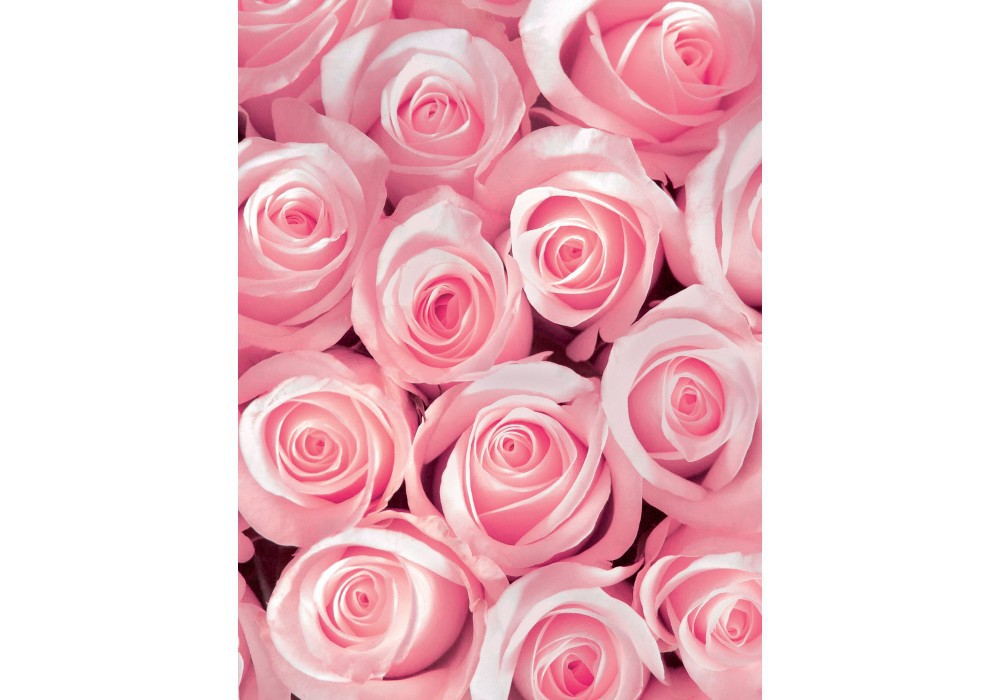 Флизелиновые 3д фото обои 184x254 см Розовые бутоны роз (2168V4A)+клей