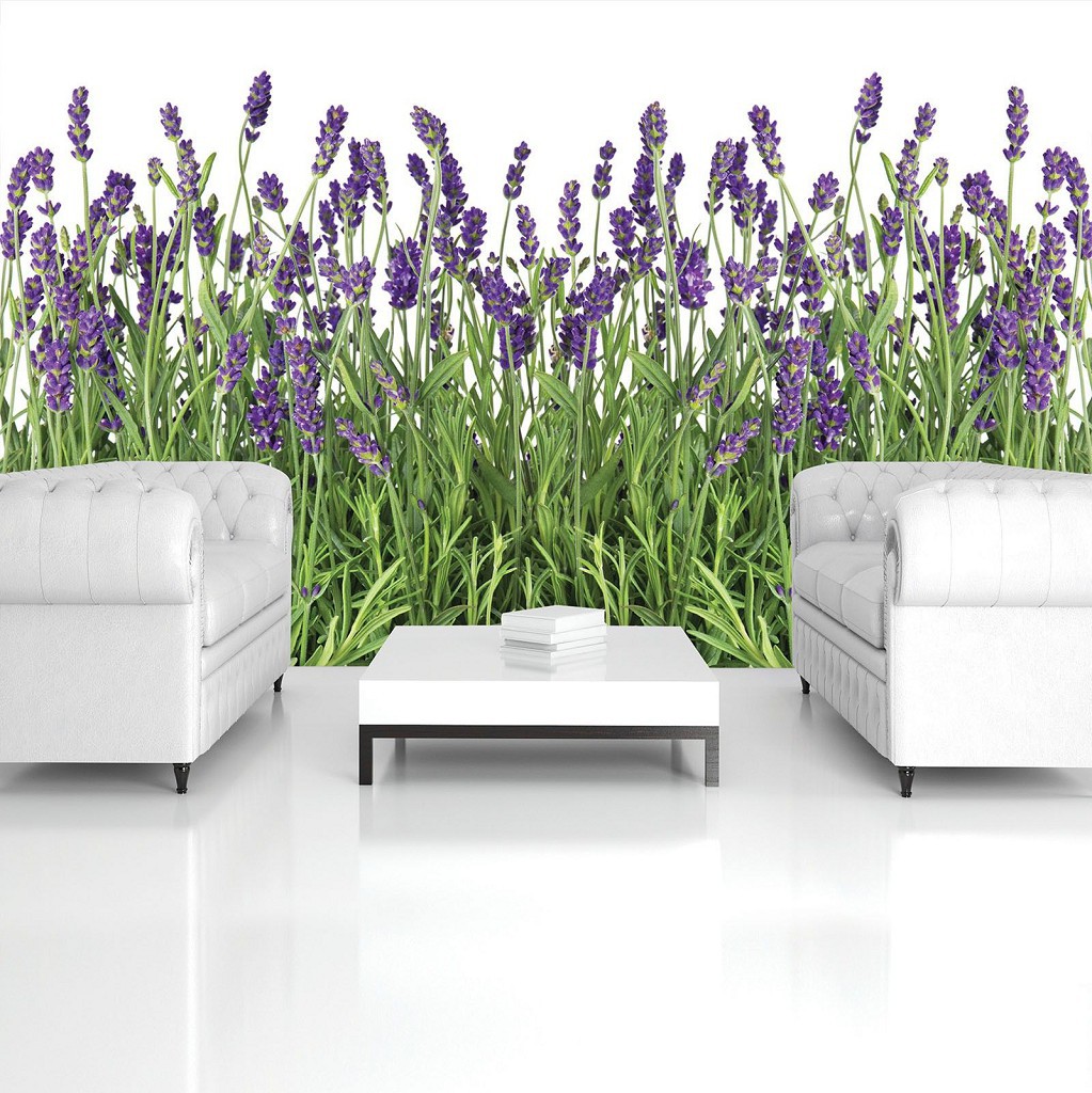 Флізелінові фотошпалери в інтер'єрі 416x254 см Квітуча лаванда на білому тлі (2174VEXXXL)+клей
