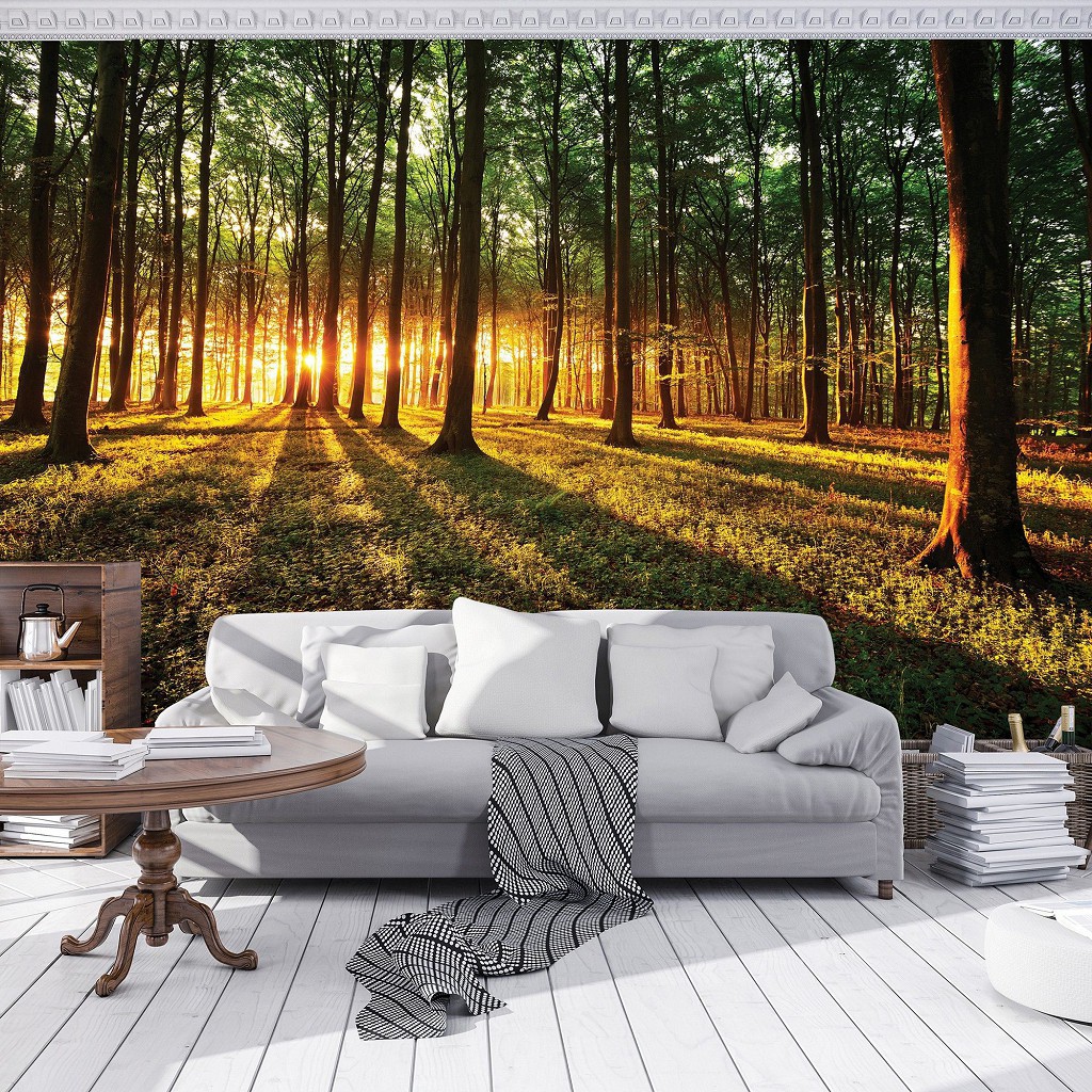 Флізелінові фотошпалери 3д 368x254 см Світанок у зеленому лісі (2226V8)+клей