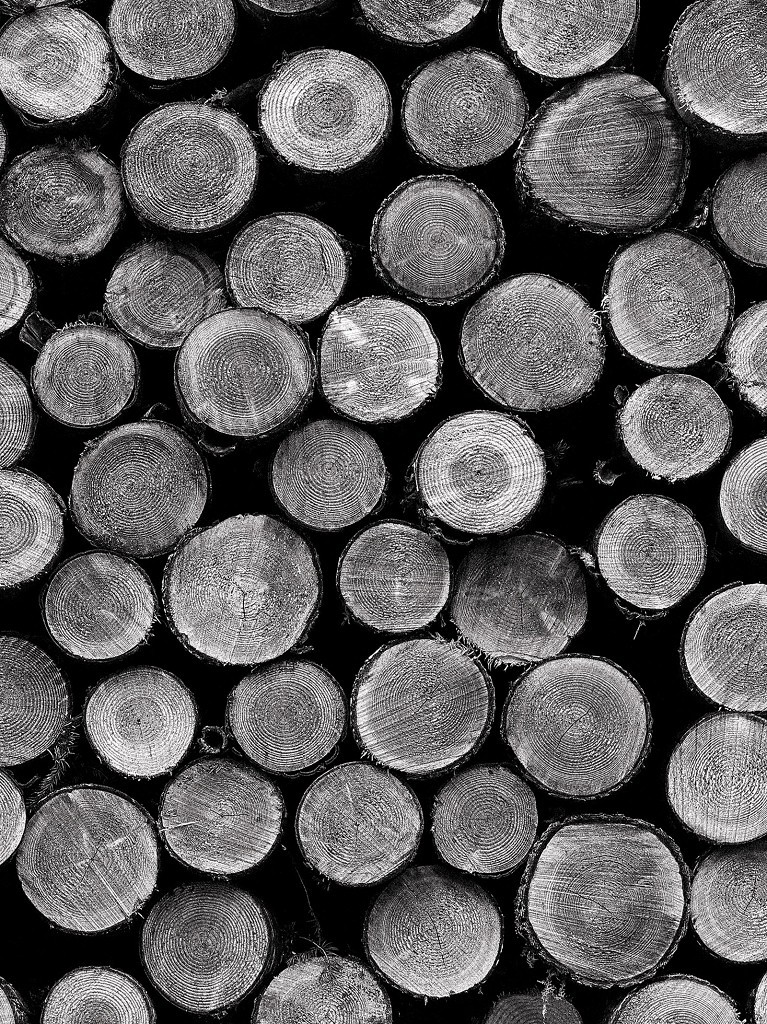 Флізелінові фотошпалери на всю стіну 184x254 см Чорно-білі колоди (2240V4A)+клей