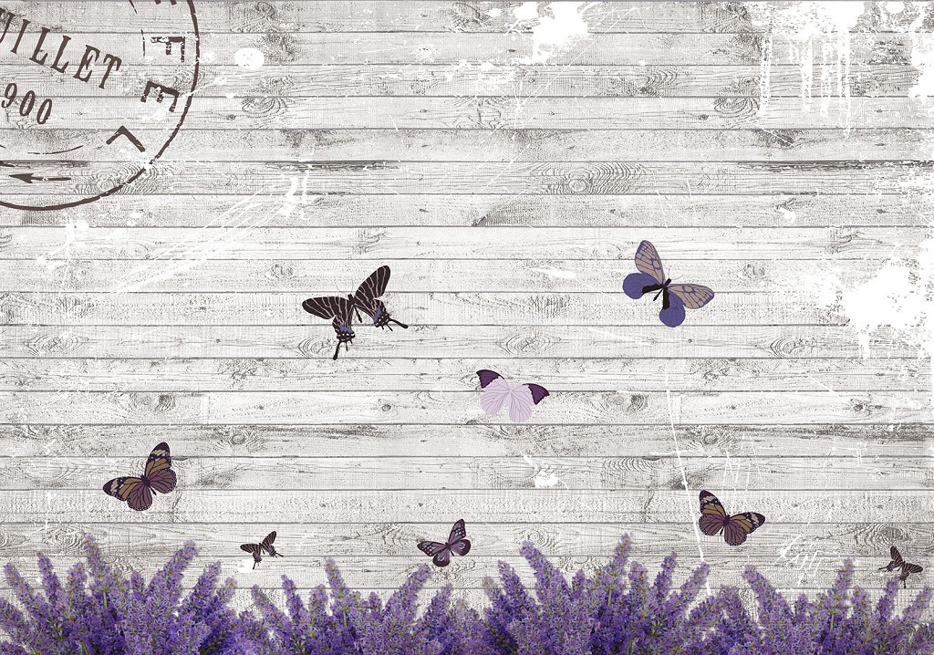 Флизелиновые фотообои для зала 254x184 см Бабочки и цветы на серых досках (2241V4)+клей