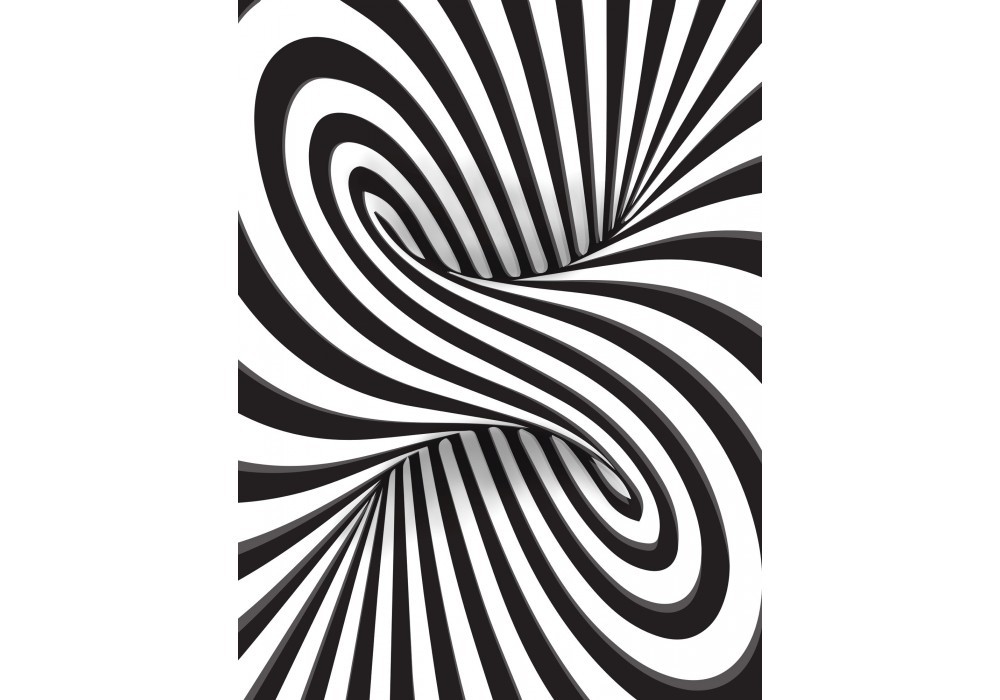 Флизелиновые фотообои 3d 206x275 см Белый и черный водоворот (2258VEA)+клей