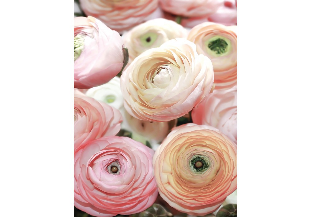 Флизелиновые фотообои цветы в спальню 184x254 см 3Д лютик азиатский садовый (2297V4A)+клей