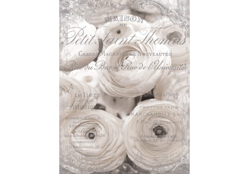 Флізелінові фотошпалери на кухню квіти 184x254 см Чорно-білий жовтець азіатський (2424V4A)+клей