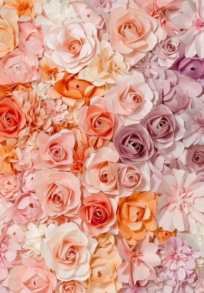 3D фотообои на стену: 254х366 см. Цветы №147А