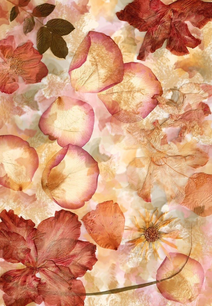 Флизелиновые фотообои на стену: 254х366 см. Высушенные цветы №963А