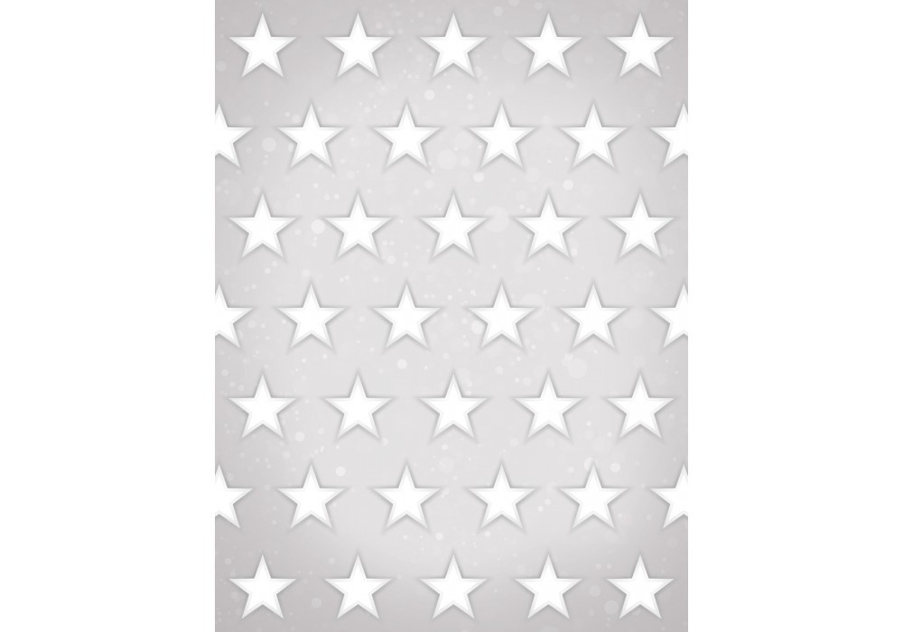 Флізелінові фотошпалери на всю стіну 206x275 см Білі зірки на сірий фон (2687VEA)+клей