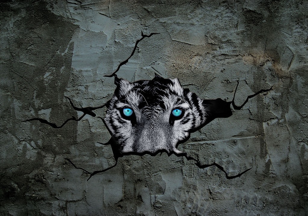 Флізелінові фотошпалери фото тварини 416x254 см 3Д Тигр із блакитними очима за цементною стіною (2772VEXXXL)+клей