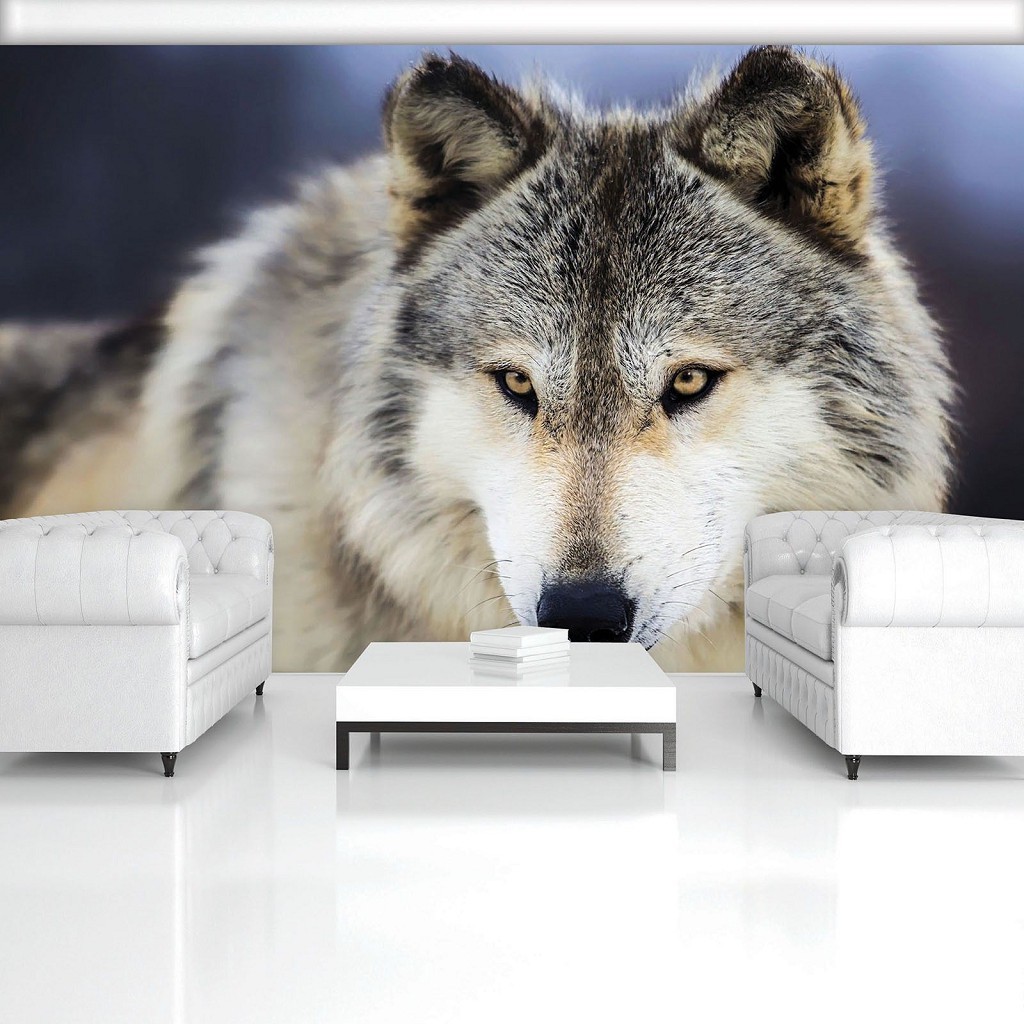 Флизелиновые фотообои 3д животные 312x219 см Снежный волк (2938VEXXL)+клей