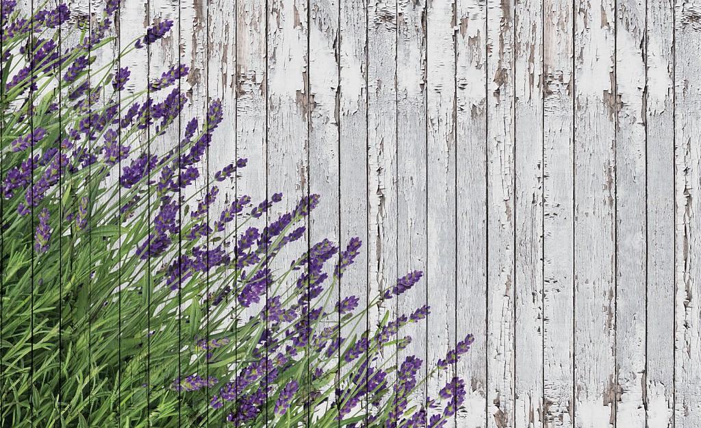Флізелінові фотошпалери фото квіти 254x184 см Лаванда на сірих дошках (2962V4)+клей