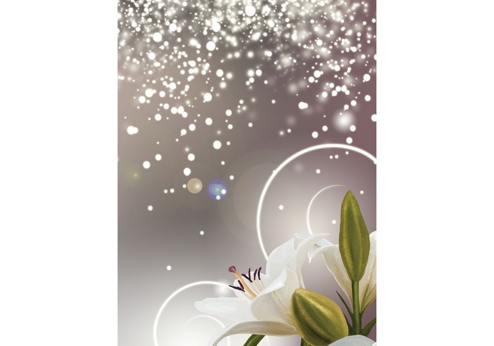 Фотообои флизелиновые цветы 206х275 см Белые лилии и блеск на сером фоне (3055VEA)+клей