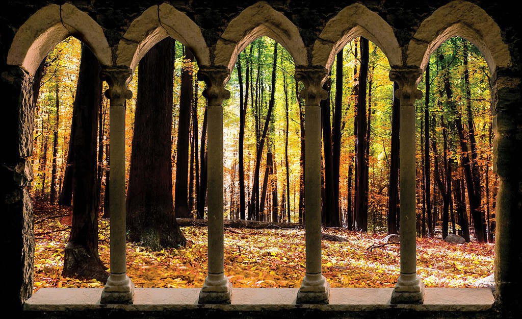 Популярные флизелиновые фотообои 3д пейзаж 368x254 см Осенний лес за арками (3340V8)+клей