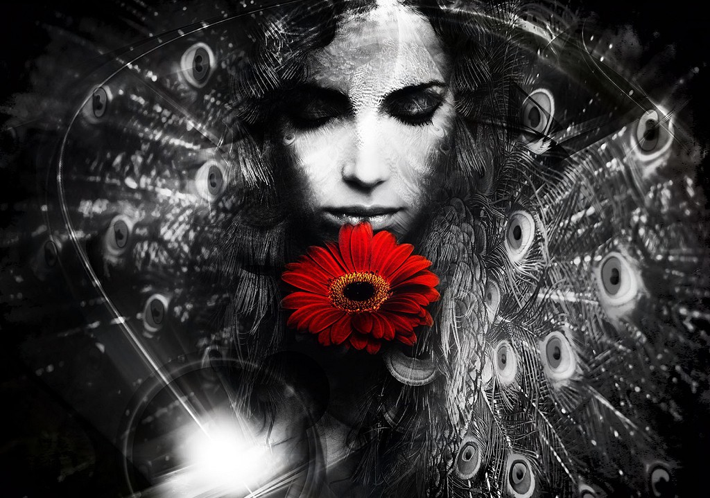 Флізелінові фотошпалери чорно-білі на стіні 254x184 см Жінка з червоною квіткою (3413V4) +клей