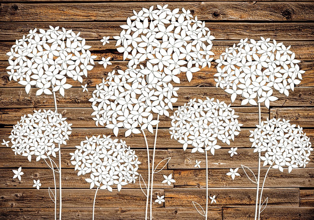 Флизелиновые коричневые фотообои в коридор 254x184 см Пушистые белые цветы на деревянных досках (3504V4)+клей