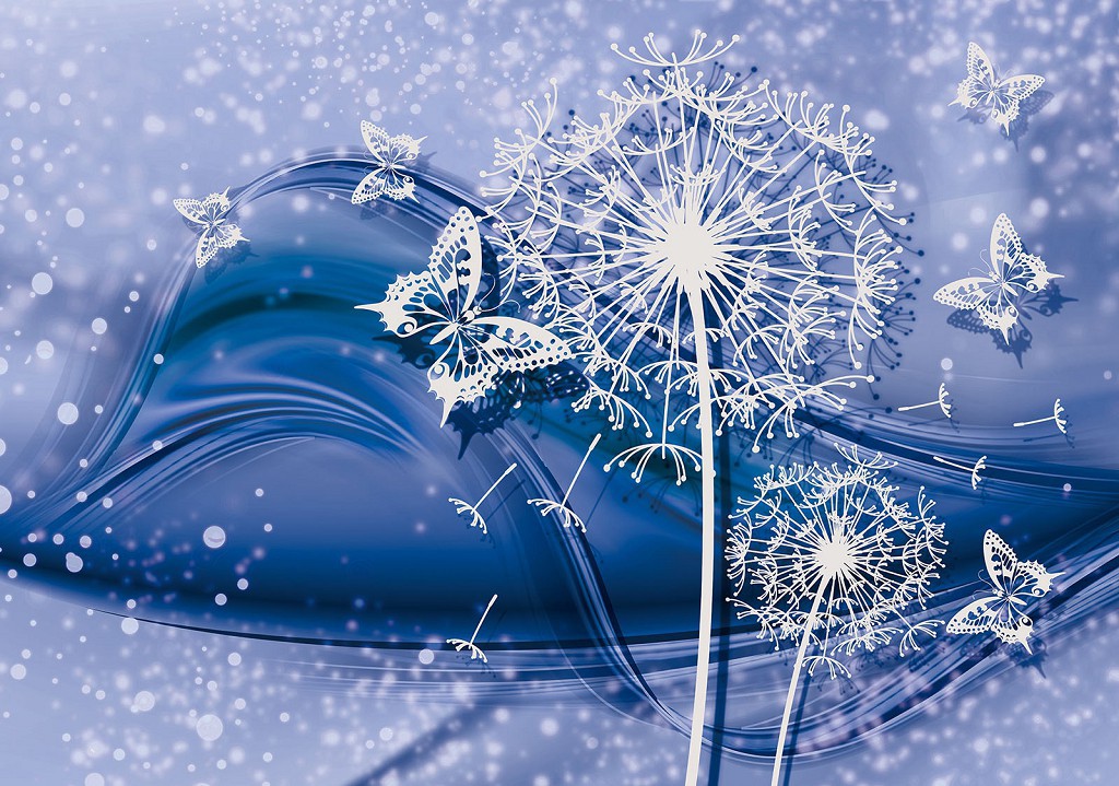 Флизелиновые фотообои на кухню цветы 312x219 см Белые одуванчики и бабочки на синем фоне (3636VEXXL)+клей