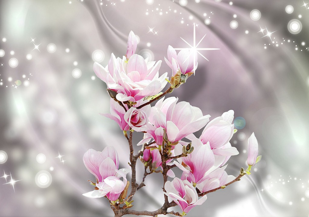 Флизелиновые фотообои в спальню 3д цветы 416x254 см Розовые магнолии на светлом фоне (3675VEXXXL)+клей