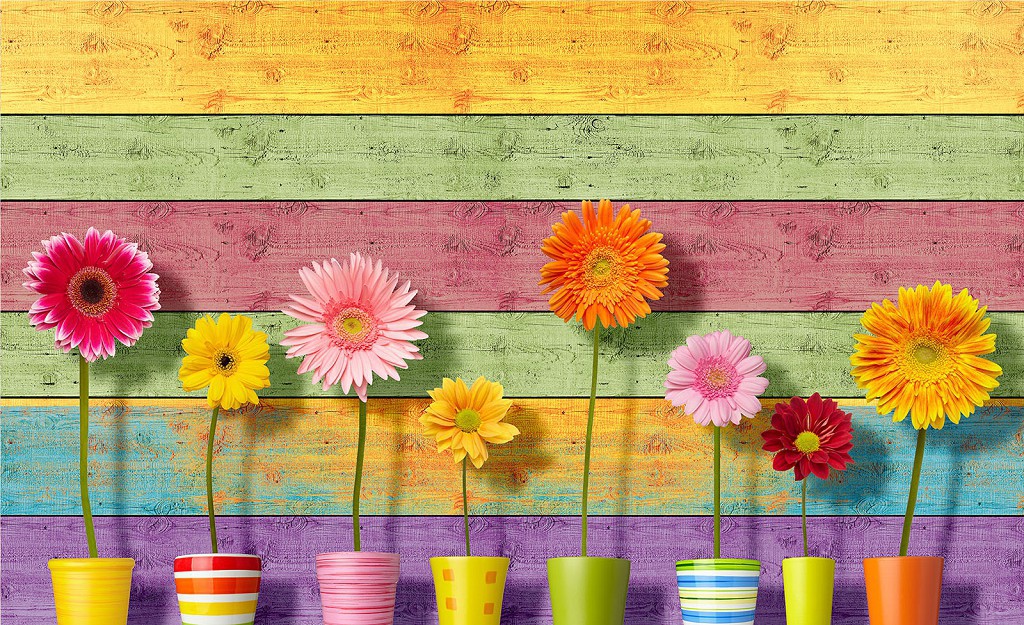 Флізелінові фотошпалери 3д квіти 416x254 см Гербери у вазонах на фоні кольорових дощок (3710VEXXXL)+клей