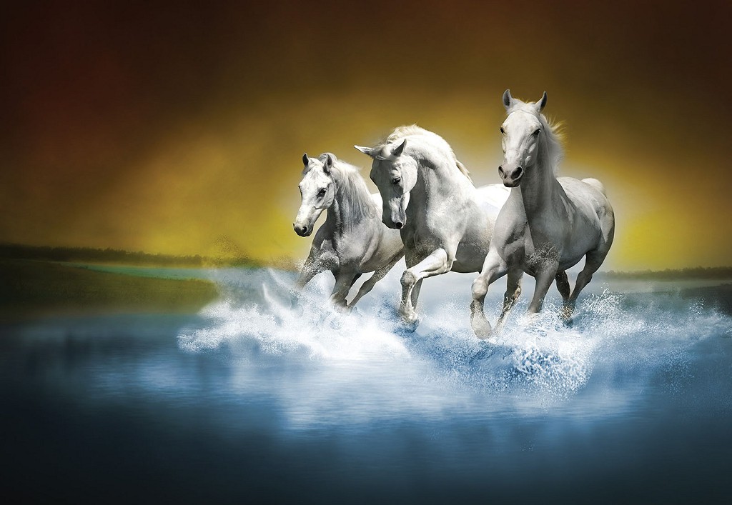 Флізелінові фотошпалери 3д тварини 312x219 см Білі коні скачуть по воді (425VEXXL)+клей