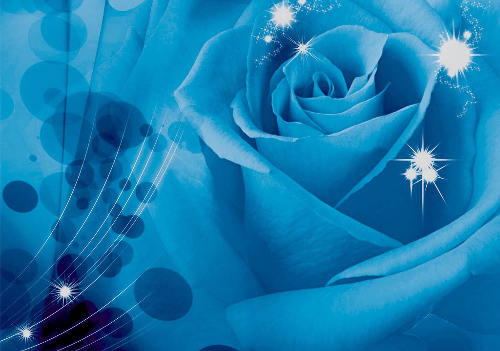 Флизелиновые фотообои цветы 312x219 см Бутон синей розы (581VEXXL)+клей