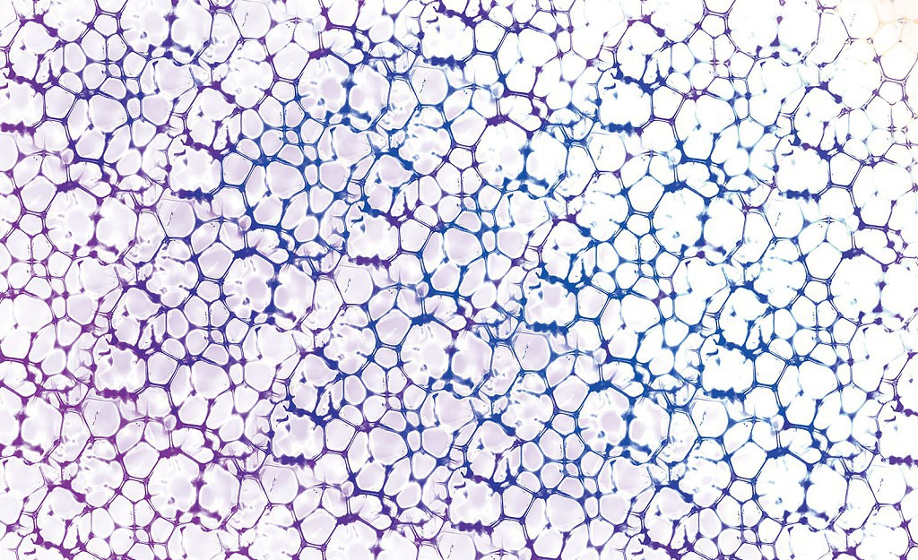 Флізелінові фотошпалери в спальню 416x254 см Абстрактне мистецтво - бульбашки (696VEXXXL)+клей