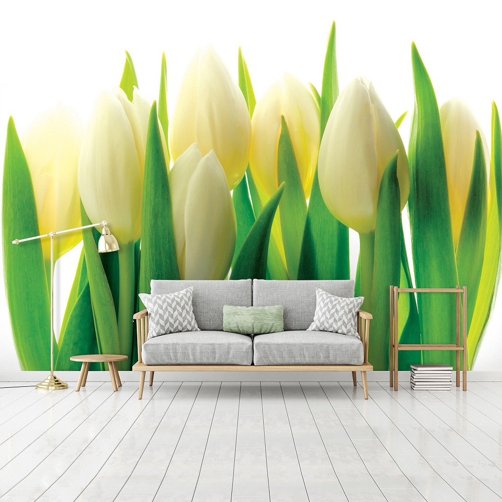 Флизелиновые фотообои Большие цветы 254x184 см Тюльпаны на белом фоне (894V4)+клей