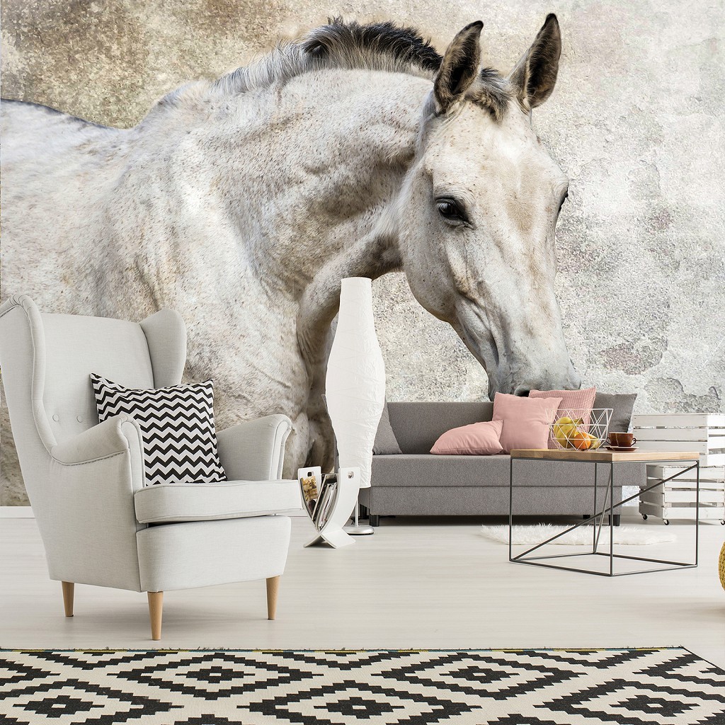 Флизелиновые фотообои в спальню природа 416x254 см Одинокий серый конь (1218VEXXXL)+клей