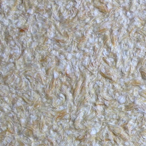 Жидкие обои 8511BP БиоПласт Желтый