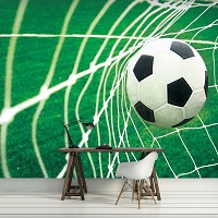 Флизелиновые фотообои для стен 3д футбол 368x254 см Мяч в воротах (015V8)+клей