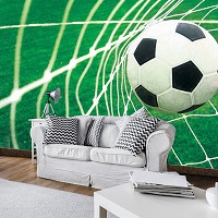 Флизелиновые фотообои 3д футбол 416x254 см Мяч в воротах (015VEXXXL)+клей