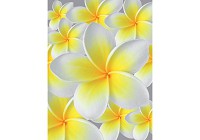 Над кроватью флизелиновые фотообои в спальню цветы 184x254 см Желтая плюмерия (033V4A)+клей