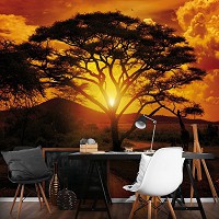 Флизелиновые фотообои в зал фото 368x254 см Африканский пейзаж - закат солнца (055V8)+клей