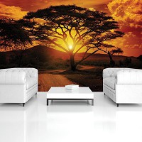 Флизелин - ремонт зала с фотообоями 312x219 см Африканский пейзаж - закат солнца (055VEXXL)+клей