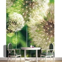 3д флизелиновые фотообои для кухни цветы 184x254 см Одуванчики на зеленом фоне (056V4A) +клей