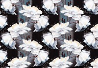 Флізелінові фотошпалери Квіти Намальовані Великі Троянди (10032V)+клей - вид 1 мініатюра