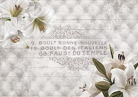 Флизелиновые фотообои под доску цветы 416x254 см Лилии и белая элегантность (10051VEXXXL) +клей - вид 1 миниатюра