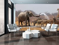 Красивая природа флизелиновые фотообои 416x254 см Сафари - Африканские животные на водопое (10093VEXXXL)+клей - вид 5 миниатюра