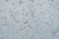 Жидкие обои Юрски Магнолия 1009 Комбинированный