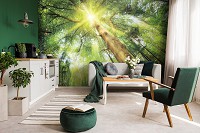 Флизелиновые фотообои 3д Природа Солнце Деревья 312x219 см Зеленый лес в дневном свете (10112VEXXL)+клей