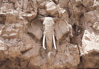 Світло-коричневі 3д флізелінові фотошпалери для стін 254x184 см Тварини Слон Скеля Африка (10115V4)+клей - вид 1 мініатюра