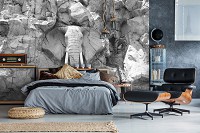 Флизелиновые фотообои фото 3д животные 368x254 см Серый скальный слон в черно-белом цвете (10116V8) +клей