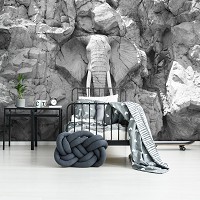 Серые 3д флизелиновые фотообои Животные Слон Скала Африка (10116V)+клей