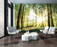 Флизелиновые фотообои с деревьями 3д Природа Ландшафт 254 x 184 см Восход солнца в зеленом лесу (10143V4)+клей - вид 7 миниатюра