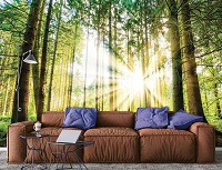 Флизелиновые фотообои в спальню 3д Природа Деревья Ландшафт 368х254 см Восход солнца в зеленом лесу (10143V8)+клей - вид 8 миниатюра