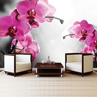 3 д флизелиновые фотообои цветы Две розовые орхидеи на черно-белом фоне (10155V)+клей