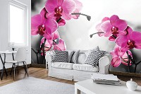 Флизелиновые фотообои с цветами на стену 3D 416х254 см Две розовые орхидеи на черно-белом фоне (10155VEXXXL)+клей